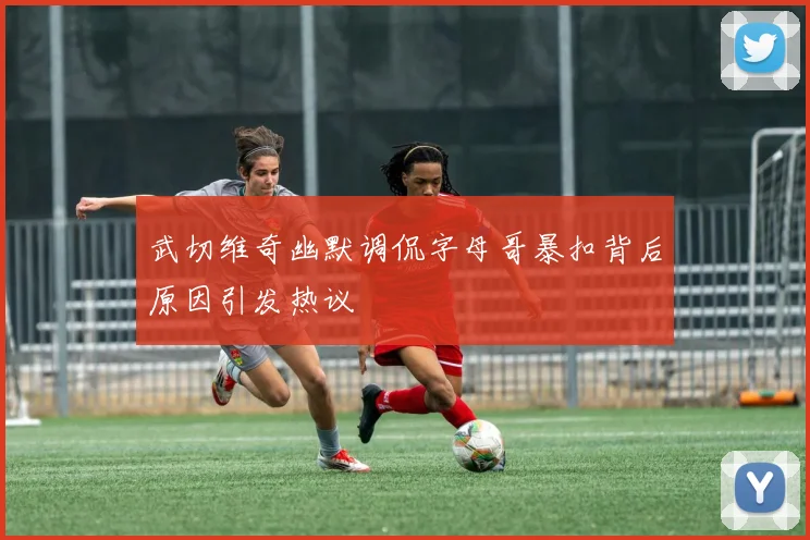 武切维奇幽默调侃字母哥暴扣背后原因引发热议